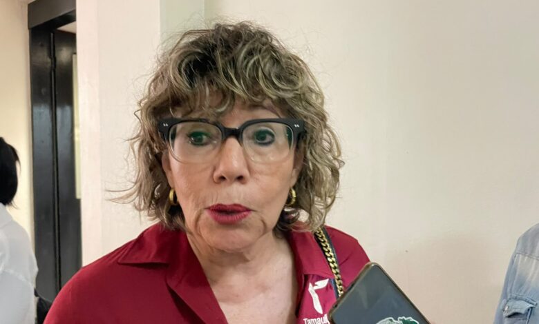 Silvia Lucero Casas González informó que los programas sociales continuarán durante el proceso electoral, con restricciones para evitar su promoción política.