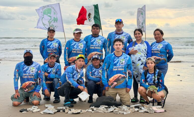 CONIBIO Global inició una jornada de limpieza en Playa Bagdad, donde recolectó más de 200 fragmentos presuntamente relacionados con el vuelo de Starship.