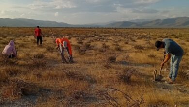 Pamela de León de León obtuvo el segundo lugar nacional y Beatriz Estrada Rodríguez recibió una mención honorífica por sus fotografías sobre el entorno y las raíces comunitarias.