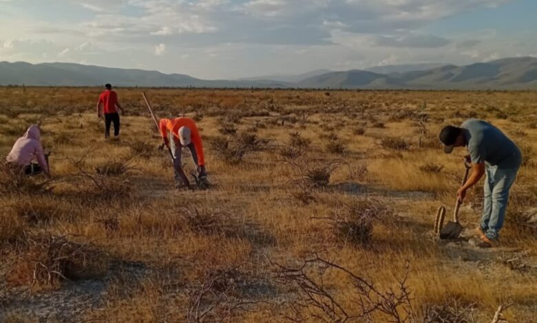 Pamela de León de León obtuvo el segundo lugar nacional y Beatriz Estrada Rodríguez recibió una mención honorífica por sus fotografías sobre el entorno y las raíces comunitarias.