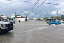 Elementos del Sector Naval de Matamoros fueron desplegados para apoyar a la población ante las inundaciones provocadas por las lluvias.