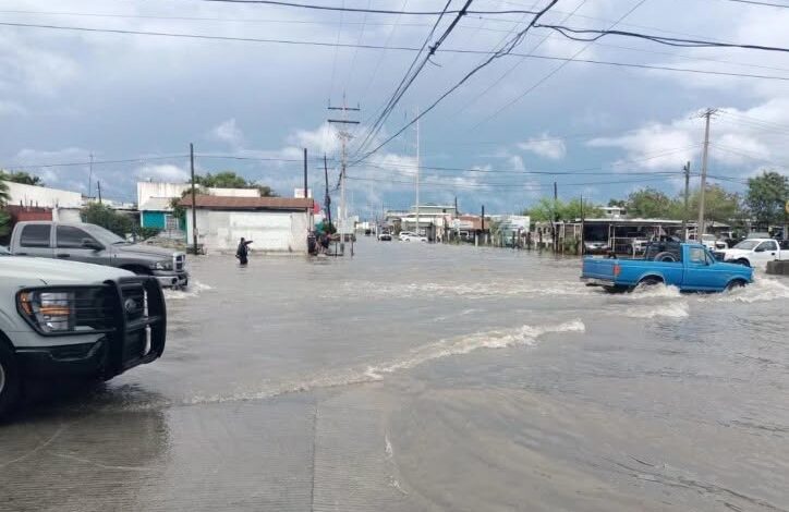 Elementos del Sector Naval de Matamoros fueron desplegados para apoyar a la población ante las inundaciones provocadas por las lluvias.