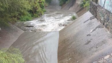 Ciudad Victoria reporta saldo blanco tras las lluvias del frente frío número 2. Autoridades atendieron árboles caídos, un vehículo varado y limpiaron drenes.