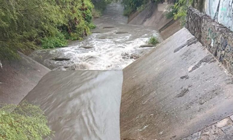 Ciudad Victoria reporta saldo blanco tras las lluvias del frente frío número 2. Autoridades atendieron árboles caídos, un vehículo varado y limpiaron drenes.
